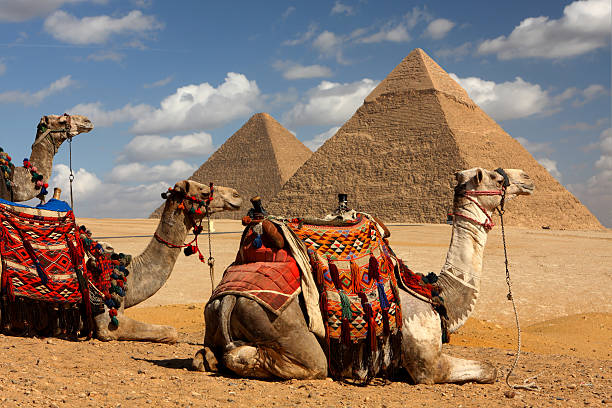 Pergi ke Mesir: Mengunjungi Piramida, Mesjid Besar Kairo, dan Nil